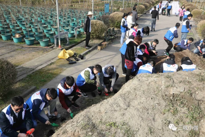 三峡集团湖北区域团员青年开展植树节活动 