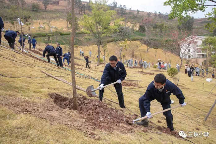 中华大地越来越“绿”，，三峡在行动！ 