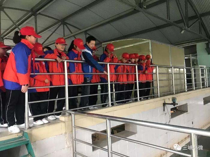 携小手护大江——三峡基地生长公司水电公司团委组织开展自愿活动 