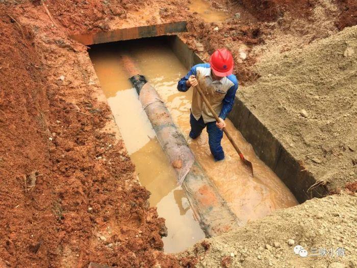 湖北能源巡线员罗叶的故事 