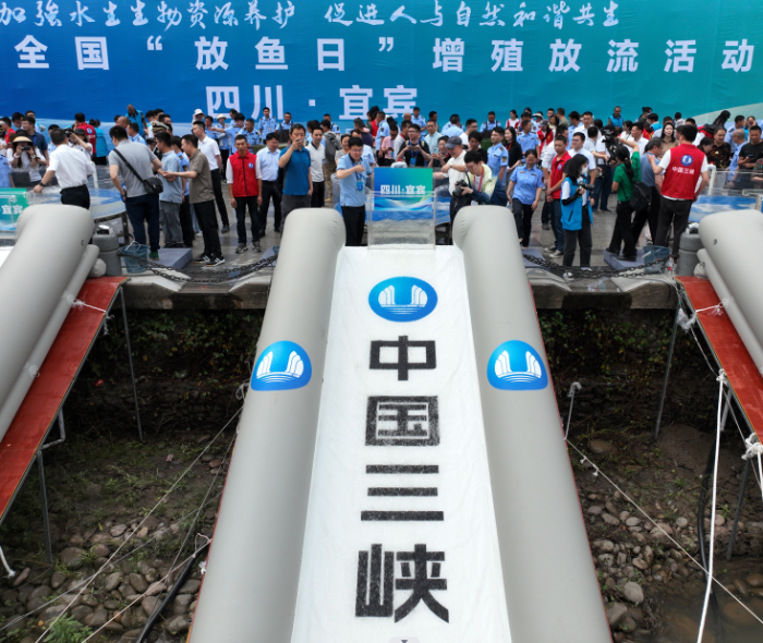 而立三峡，，，，，青年有为！3个青年整体获评“天下青年文明号” 