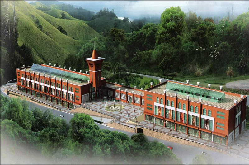 巴基斯坦 