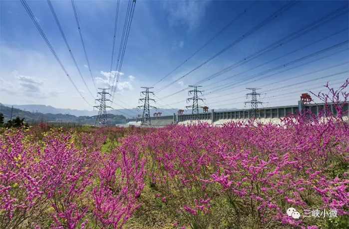 院士张超然：三峡工程质量优良 运行清静可靠 效益显著 