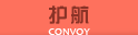 2015护航中华鲟 