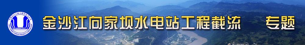 媒体群集 
