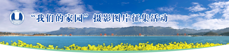 6165cc金沙总站家园 