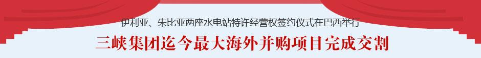 巴西项目专题 