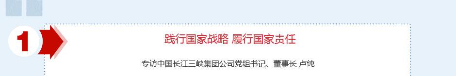 巴西项目专题 