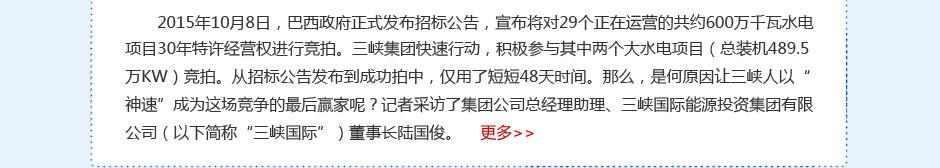 巴西项目专题 