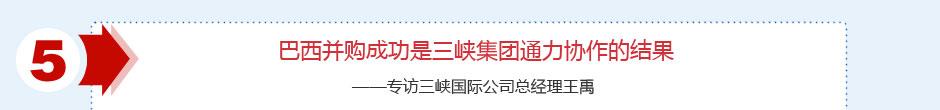 巴西项目专题 