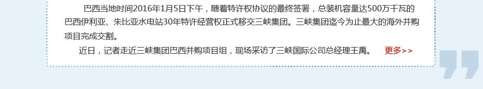 巴西项目专题 