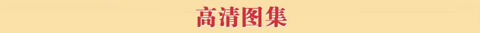 巴西项目专题 
