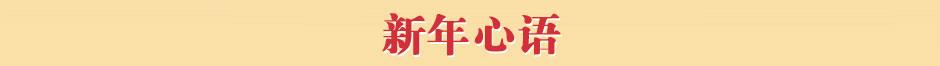 巴西项目专题 