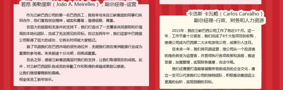 巴西项目专题 