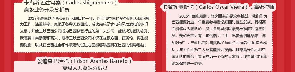 巴西项目专题 
