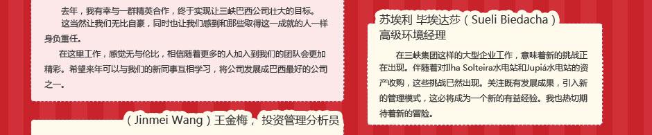 巴西项目专题 