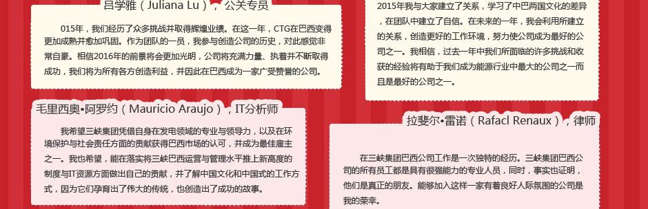 巴西项目专题 