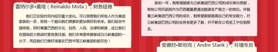 巴西项目专题 