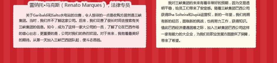 巴西项目专题 