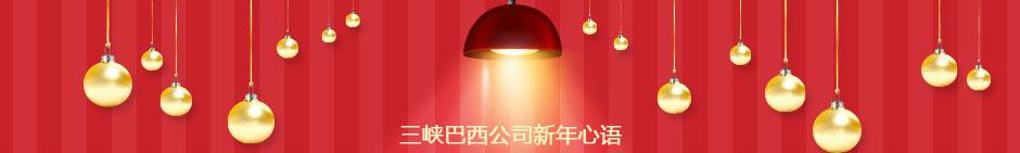 巴西项目专题 
