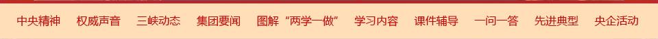 习近平：突出问题导向确保取得现实效果 把周全从严治党落实到每一个支部 
