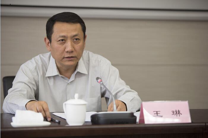 王琳在三峡集团四川地区党委讲“三严三实”专题党课要求 