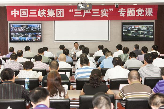 王琳在三峡集团四川地区党委讲“三严三实”专题党课要求 