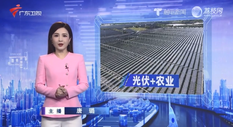 【广东卫视】板下种菜板上“种”电 探索富民兴村新蹊径