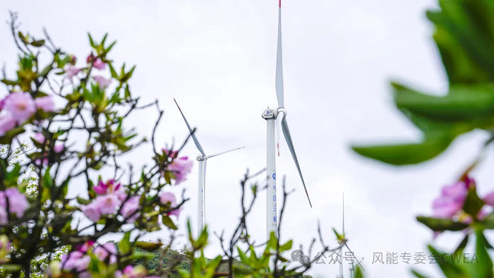 6165cc金沙总站(中国)线路检测中心