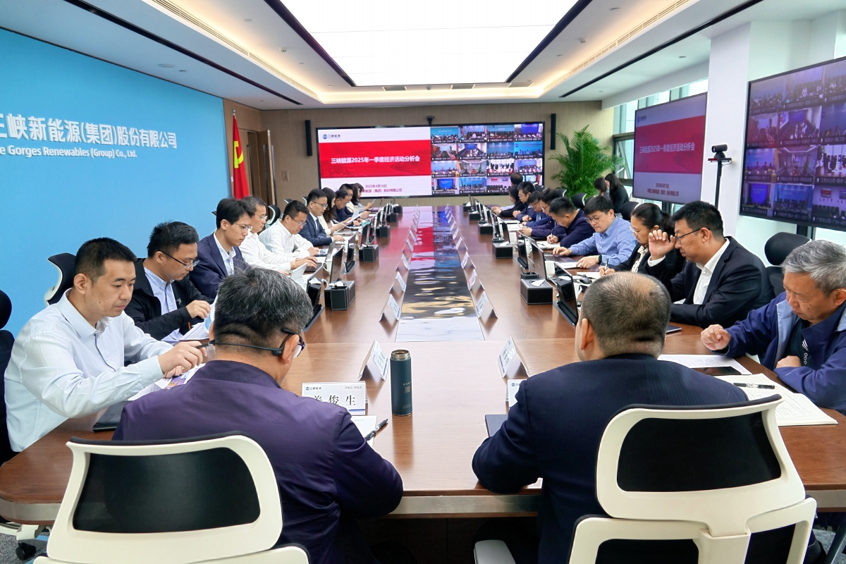 三峡能源召开2025年一季度经济活动剖析会
